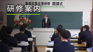 研修案内