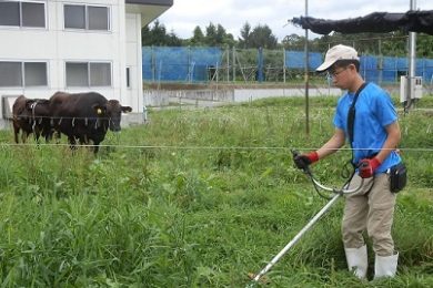 <span class="comment">電気牧柵に草が接触して漏電することを防ぐため、定期的に電気牧柵周辺の草刈りをします。</span>