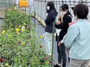 <span class="comment">置賜産地研究室の花き試験研究について研修を行いました。</span>