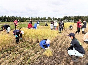 <span class="comment">升形小学校の児童が来校して稲刈りを体験しました</span>