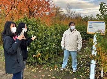 <span class="comment">（花き経営学科）11月11日山形県農業総合研究センター園芸農業研究所視察　啓翁桜試験の説明を受けました。</span>