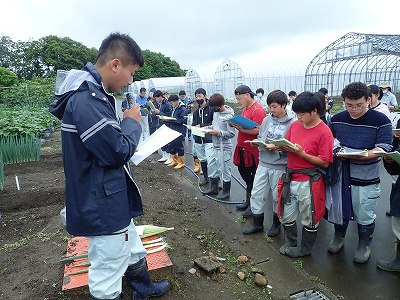 卒業論文中間検討会_1