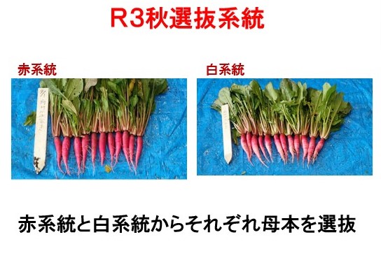 発表会_1