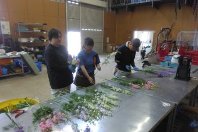 <span class="comment">農大市場で販売するチドリソウの花束を作りました</span>