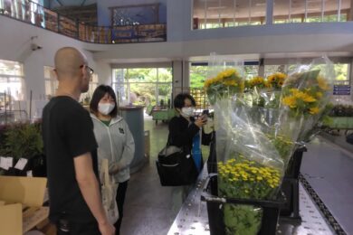 <span class="comment">卒論で栽培した切り花を県内の花き市場に出荷し、関係者の皆様から評価をいただきました</span>