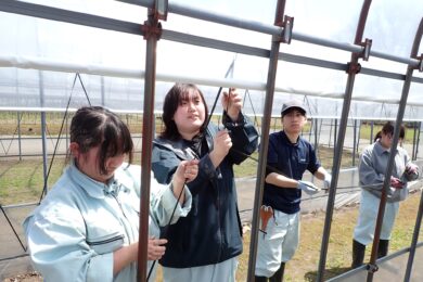 <span class="comment">実習で今後作付けするパイプハウスの被覆を行いました。２年生が１年生に手順を教えます。</span>