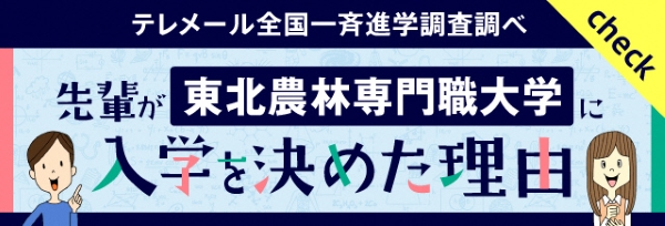 先輩が入学を決めた理由